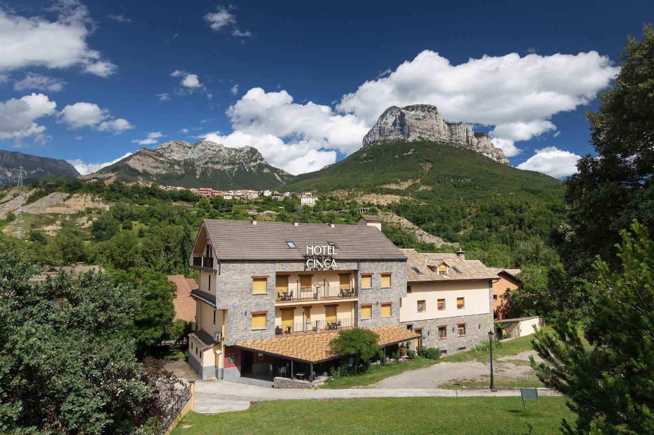 Apartment Cinca